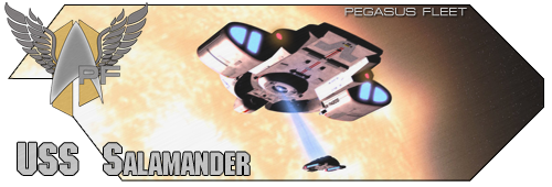 USS Salamander banner